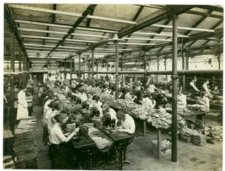 Fabricación de zapatillas, Long Meadow, 1923